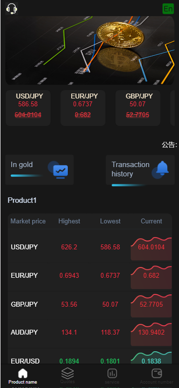 外汇系统前端界面1